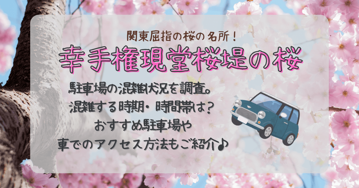 幸手権現堂桜堤　お花見　桜　駐車場　混雑状況　時期　時間帯　おすすめ　アクセス方法　予約